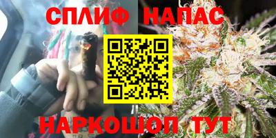 ECSTASY Донской