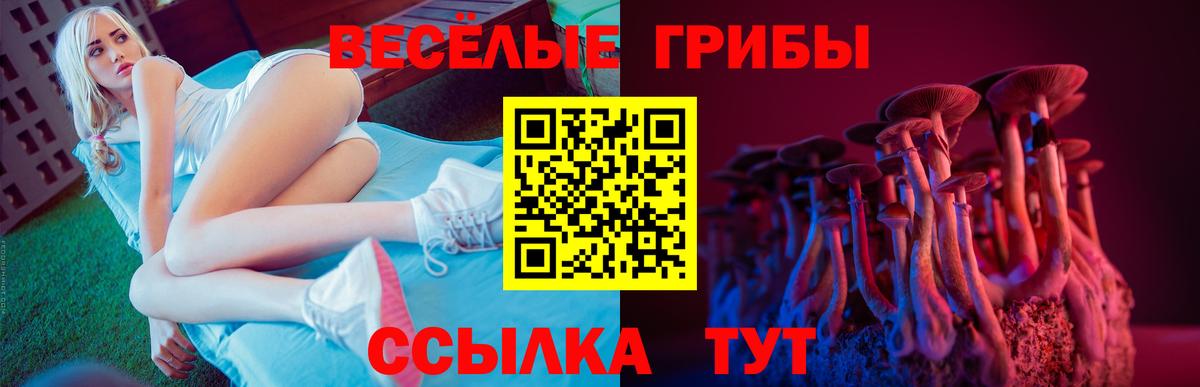 Галлюциногенные грибы Magic Shrooms  Вход с VPN  Лесозаводск 